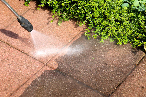 Best Roof Pressure Washing  in Volga, SD